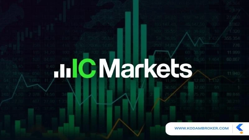 IC Markets بهترین بروکر برای تریدینگ ویو