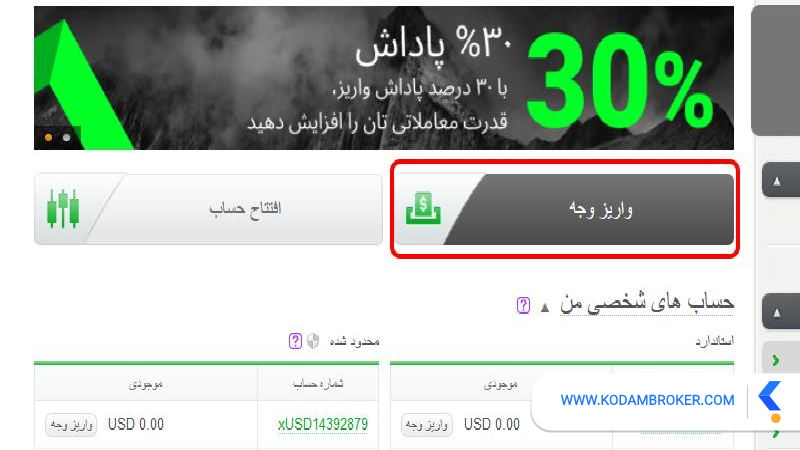 واریز وجه با کارت های اعتباری در آلپاری