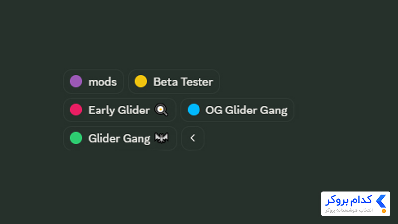 دیسکورد ایردراپ Glider