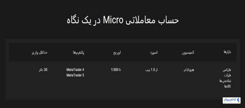 مشخصات حساب میکرو